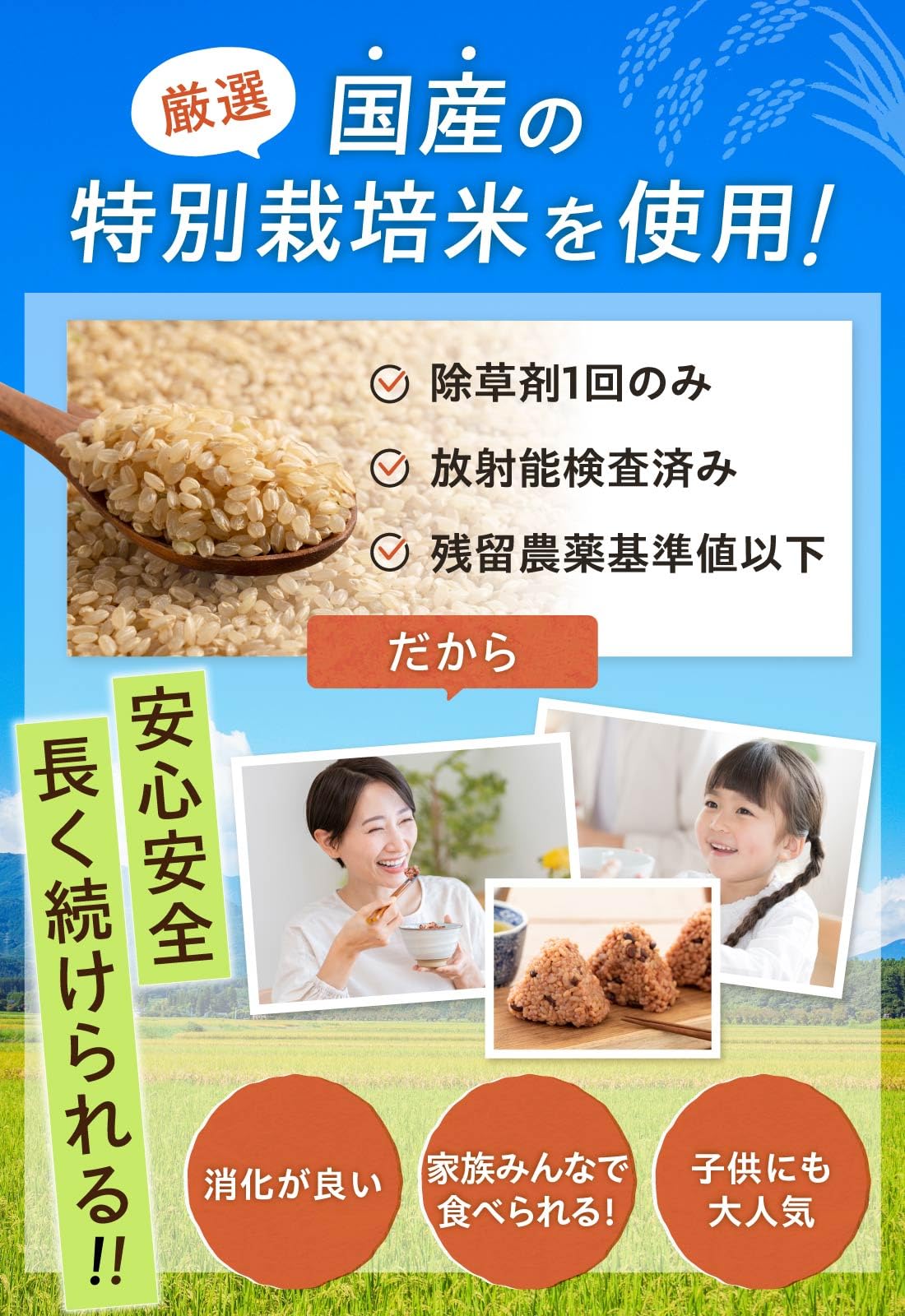 Amazon.co.jp: 【完全栄養食】寝かせ玄米 RESET 腸活 玄米パック 12食